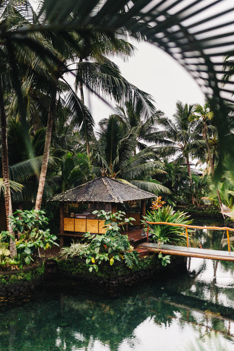 kent tupas PsGNSpf3vKc unsplash