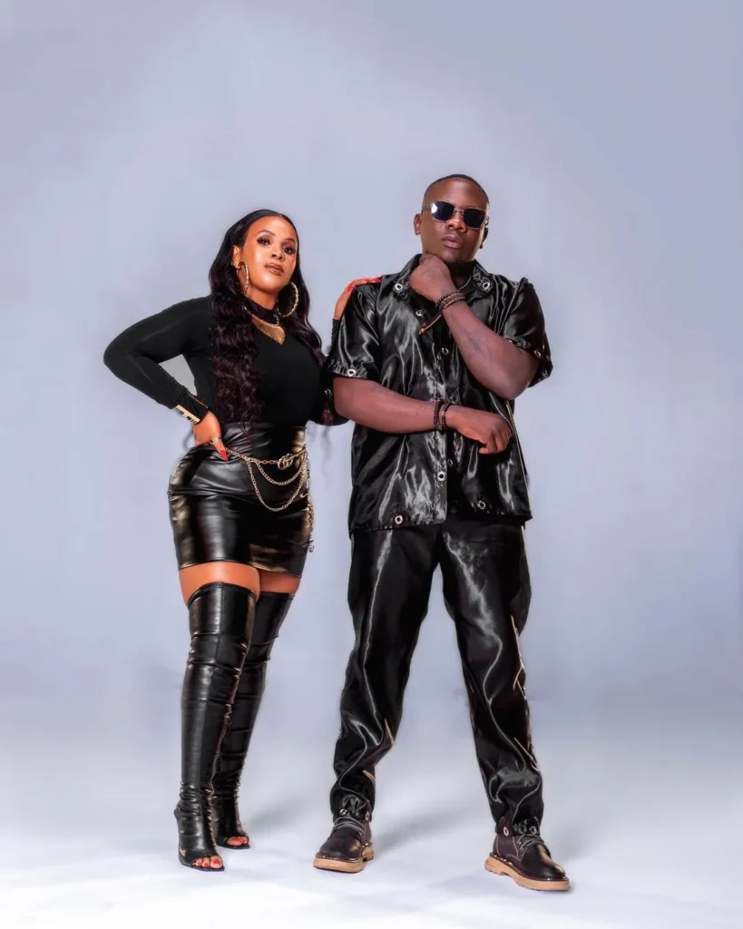 Geosteady – Prima Kardashi