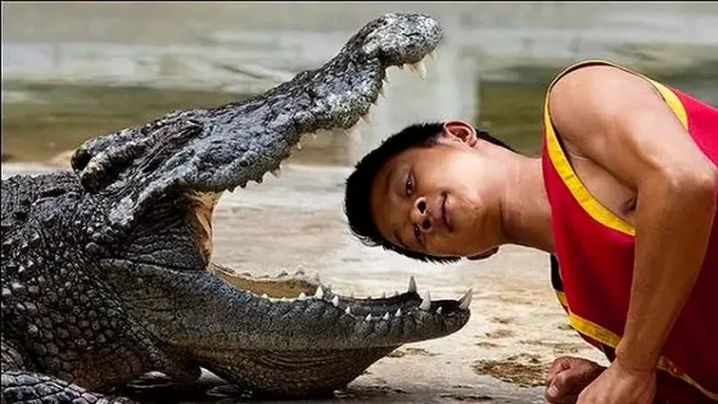 What are the most dangerous jobs in the world