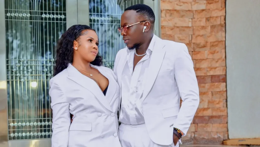 Geosteady Prima Kardashi