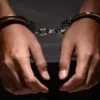 online sex trafficking network case
