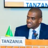 Tanzania calls for urgent action to cut preventable maternal and child deaths in Africa
