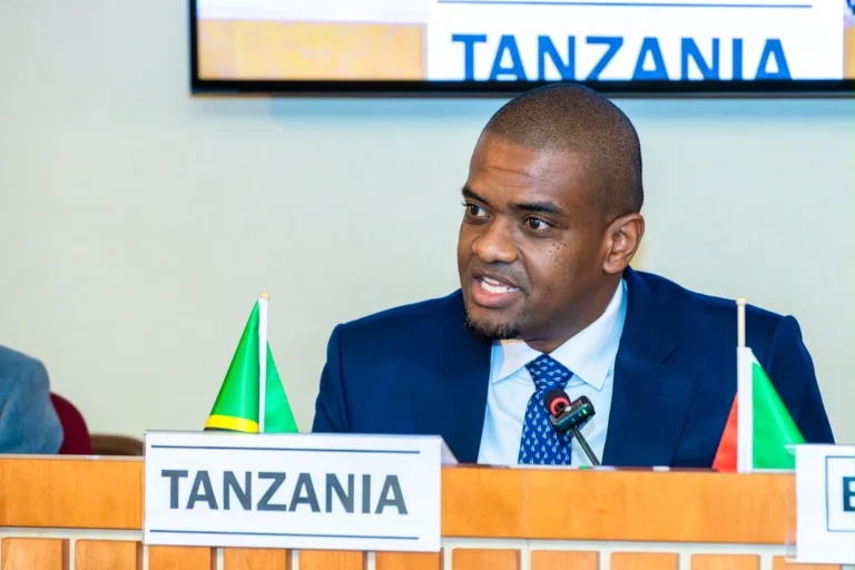 Tanzania calls for urgent action to cut preventable maternal and child deaths in Africa